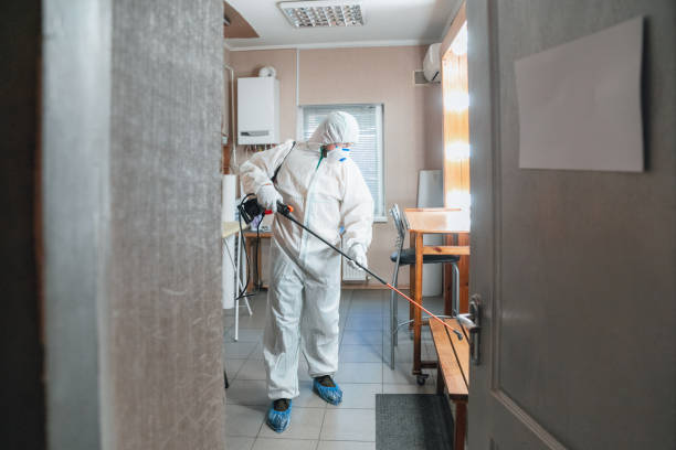 Best Post-Construction Mold Inspection  in Jewett City, CT