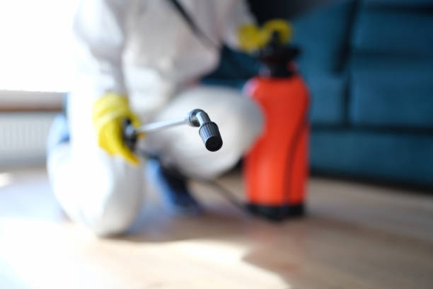 Best Mold Odor Removal Services  in Jewett City, CT