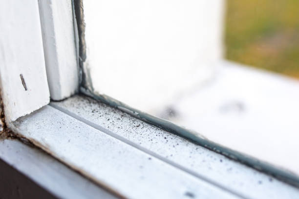 Asbestos and Lead Testing During Mold Inspection in Jewett City, CT